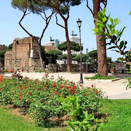 Elegant Vibia 300 Mt From Colosseum *